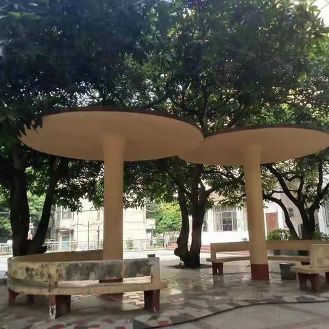 宾阳县高级中学毕业班学生返校指南