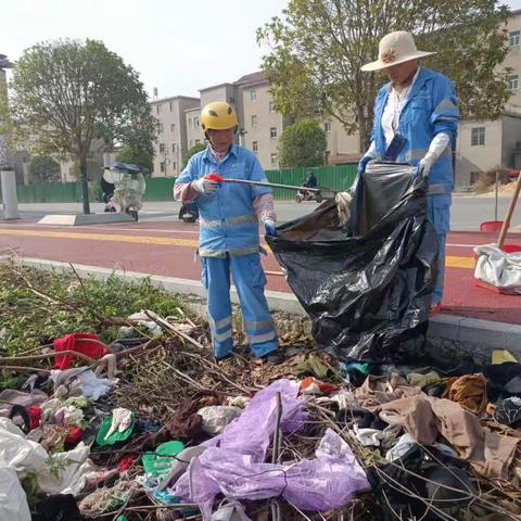 突击卫生死角   共建美好家园