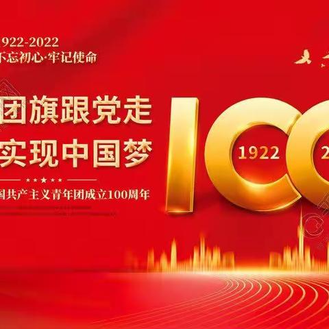 把光和热洒满大地-习近平：在庆祝中国共产主义青年团成立100周年大会上的讲话