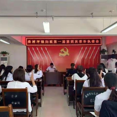 砥砺奋进谱新曲 不忘初心得始终——桑树坪镇妇联2021年各项工作亮点纷呈