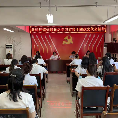 桑树坪镇“巾帼心向党 喜迎二十大”群众性主题宣传教育系列活动精彩纷呈