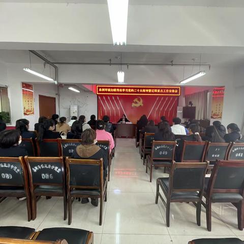 桑树坪镇妇联召开传达学习党的二十大精神暨近期重点工作安排会