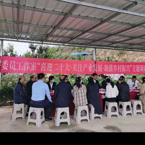 政协委员基层履职  建言献策助力发展