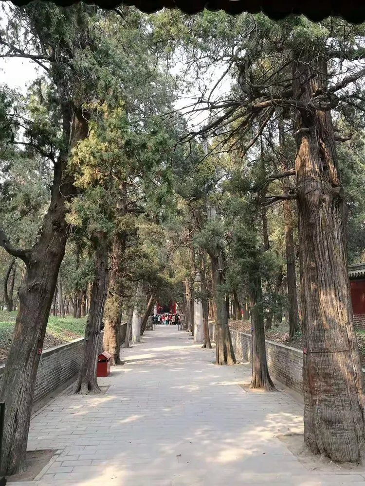 孔庙、孔府、孔林一日游