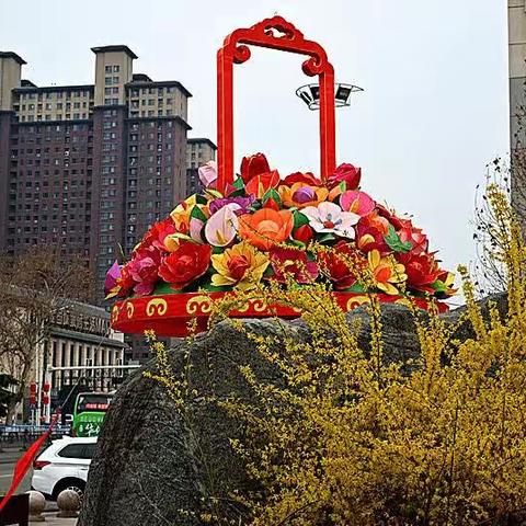 开元寺春花争芳竞艳