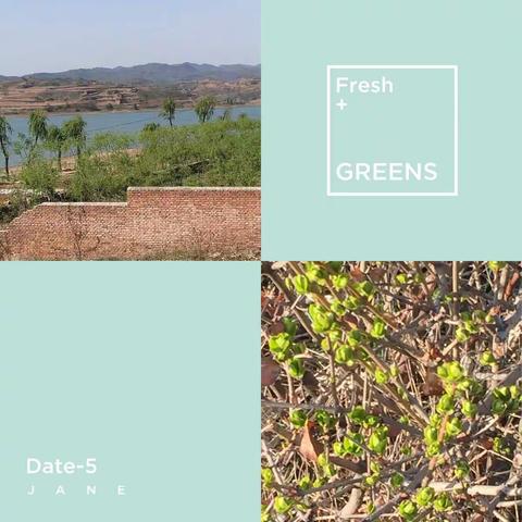 梦里未来的美篇