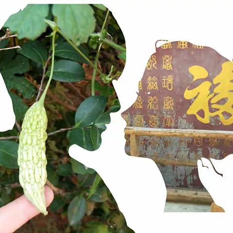 追     随
