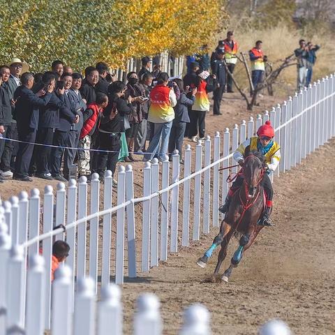 平川马术赛乡村文化美食节