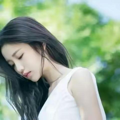 相思泪成海(歌词)