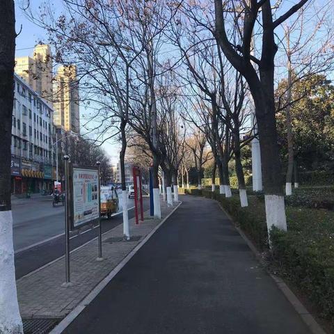 冬日的顺河