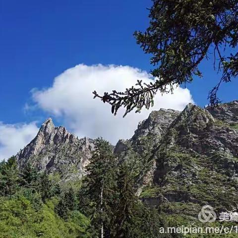 今夏，走过的风景将永存记忆