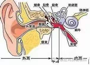 关爱听力健康，聆听精彩未来