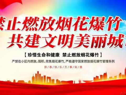 沧县李天木镇中学    关于禁止燃放烟花爆竹      及  禁止存放秸秆宣传总结