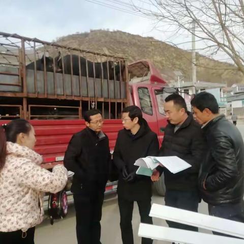 养殖户生猪屠宰难，畜牧人出谋划策，为其排忧解难