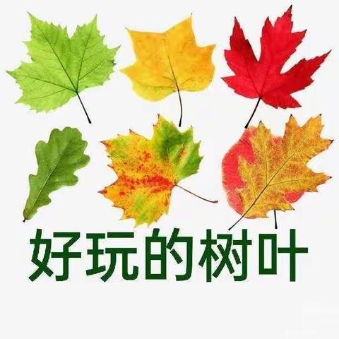 《好玩的秋叶》亓荣幼儿园——张庆玲