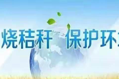 为了碧水蓝天，禁止燃烧秸秆