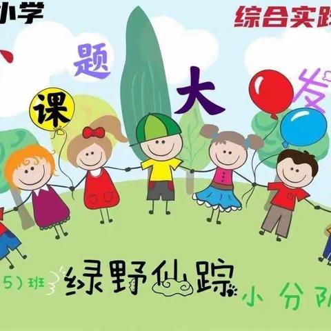 【小课题 大发现】我有一双小巧手——玉溪聂耳小学二（5）中队综合实践课程系列活动之二