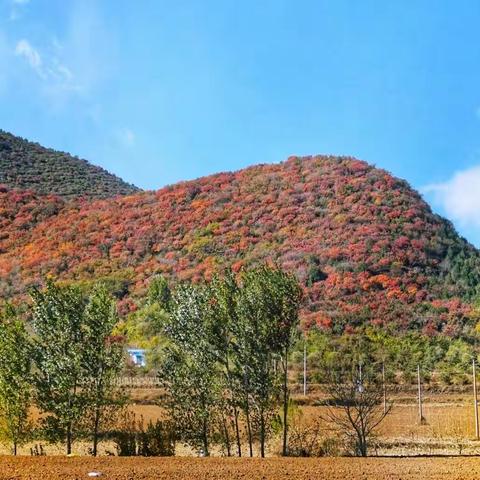 舞彩浅山