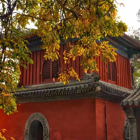 大觉寺