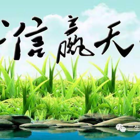 美国大选与猪狗抱怨