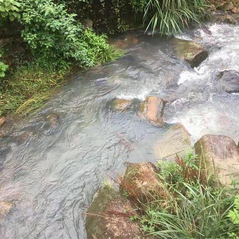误入塔头坑村