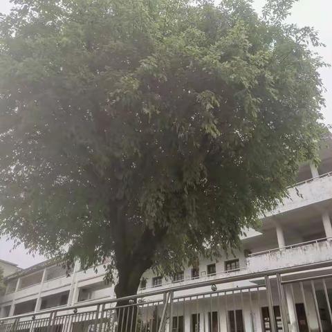 喜迎二十大，永远跟党走。