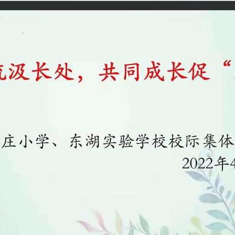 校际交流汲长处，共同成长促“双减”——李庄小学、东湖实验学校校际语文集体备课活动