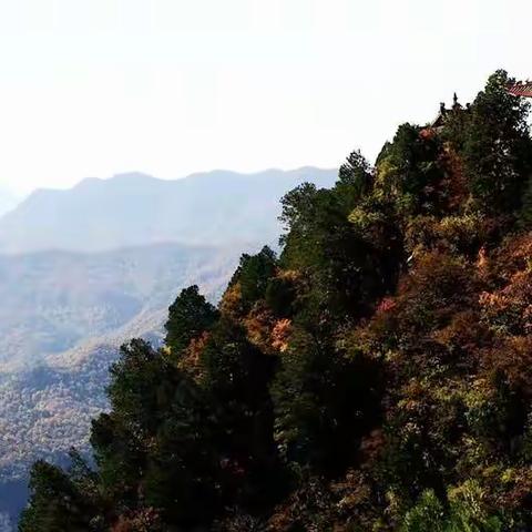 洞天佛地黄围山，快乐游玩武家湾