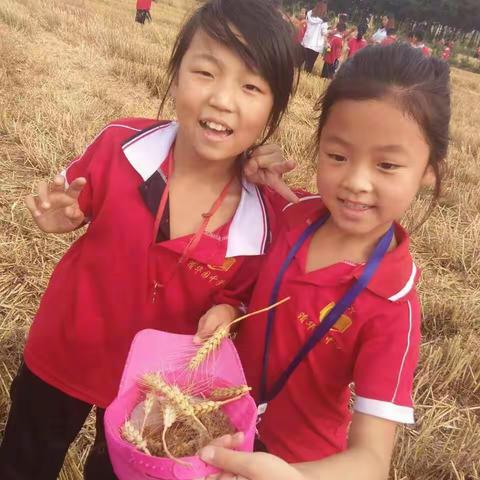 翼城清华园小学国际部——小小的麦穗，满满的童真
