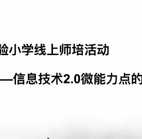 梨树县实验小学线上师培活动——信息技术2.0微能力点的恰当应用