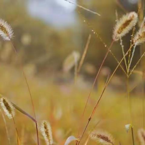 “疫”起来动手，居家趣味多——商店镇第二小学