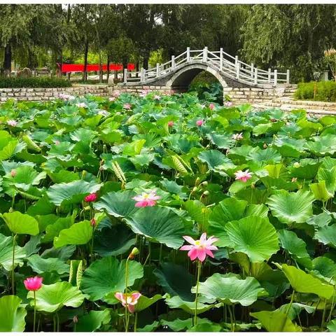 癸卯年夏三题