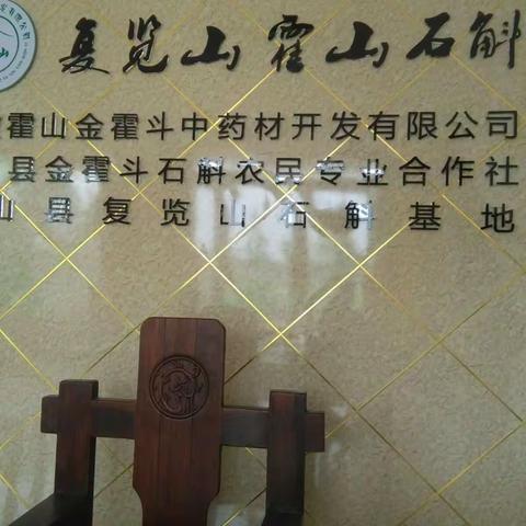 我的美篇