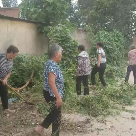 推进人居环境整治，建设美丽宜居乡村，董王度村周五人居环境整治持续进行中