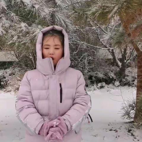 雪中剪影