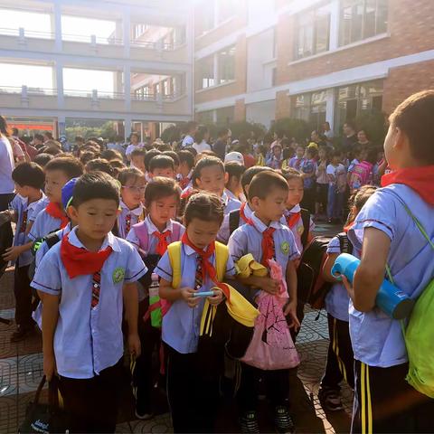秋之旅---青口小学202中队秋游实践活动