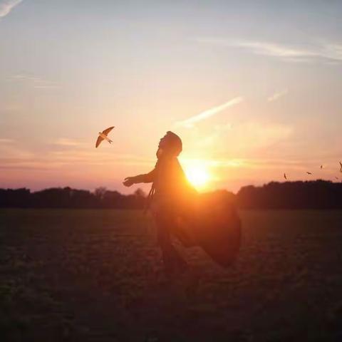 万般渴望不及心与心的连接