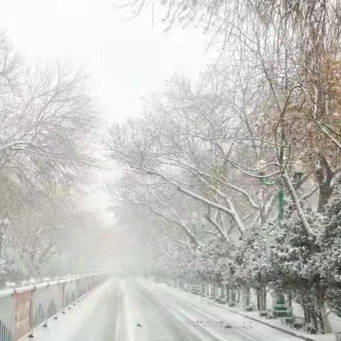 雪落默无声，远看叹磅礴；意人寄情怀，醉是当下景