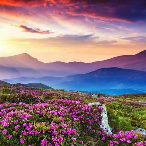 我们不过都是第一次学着过自己想要的生活，又怎会避免磕磕碰碰！