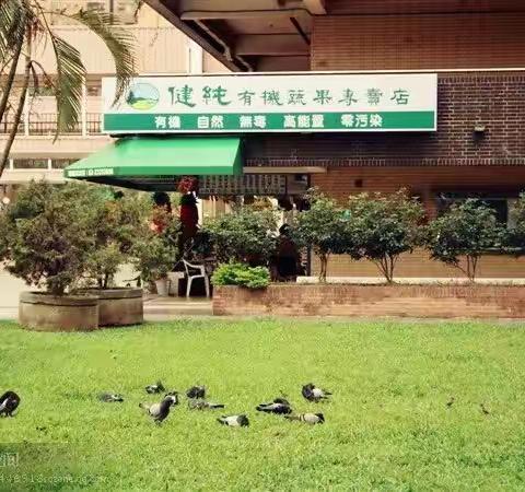 judy有機傳奇的故事（第一集）