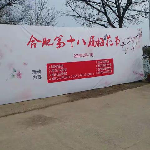 2019年合肥植物园梅花节