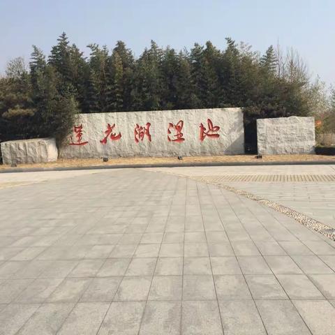 莲花湖湿地公园