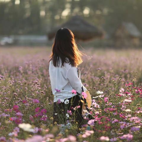 多彩之秋——花海惊艳