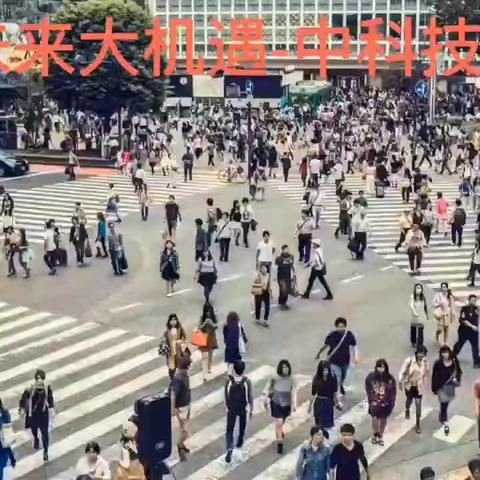 技能共享是做什么?