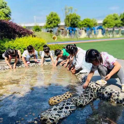 中兴学校新益幼儿园中一班班本课程                       《夏天欢乐多》