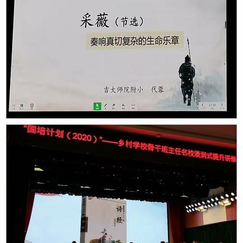 观代蓉老师《采薇·节选》有感