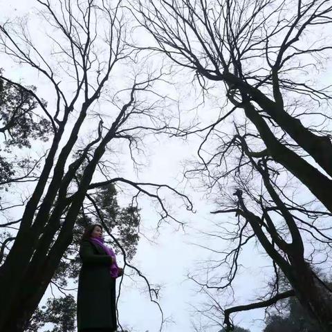 风风雨雨都不回头，送给我一生的朋友，