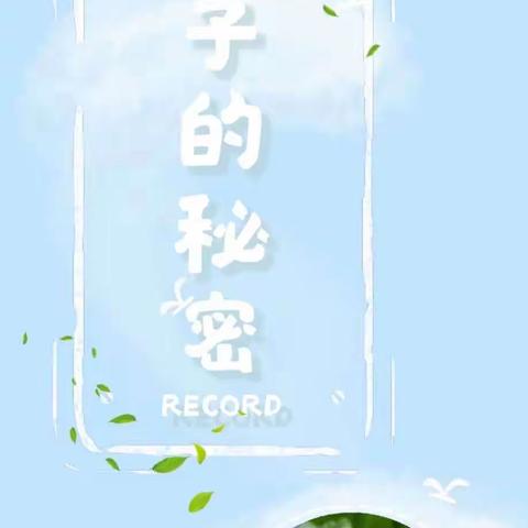 新村幼儿园小班主题活动“叶子🍃的秘密”