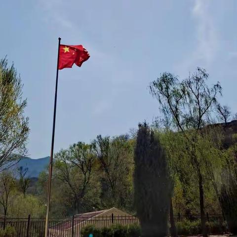 相聚云端，课例教研促成长——谢家堡学区道德与法治教师参加“素养导向下的教学课例”观摩研讨会