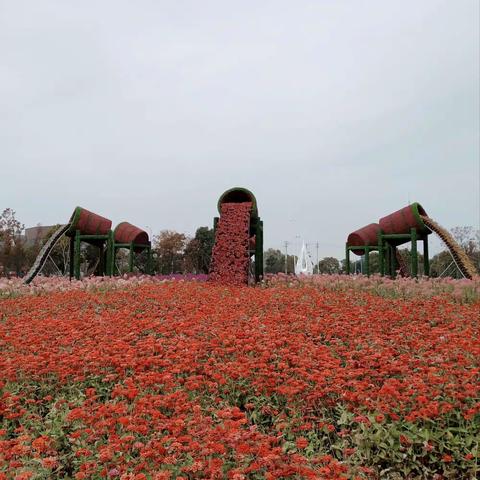 花丛仙子一一宛山荡湿地公园